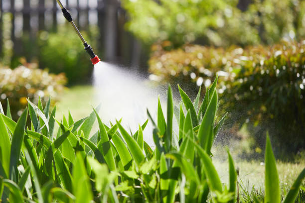 24/7 Emergency Fumigation Services experts in Creighton, NE