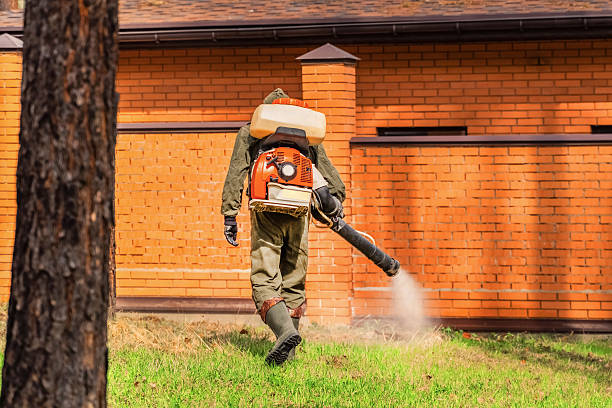 Trusted Ant Control service in Creighton, NE - Nex Pest Control